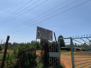 Gatomboya AA, Kenya
