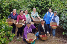 8 of the 12 Women producers from ASTAL society in La Yerba