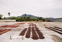 A drying patio, at Arrocera