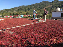 Roofs become patios during harvest, La Yerba